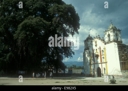 Giant ahuehuete cypress tree and church at Santa Maria del Tule, near the city of Oaxaca, Mexico Stock Photo