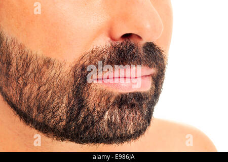 portrait of a bearded young man on a white background Stock Photo