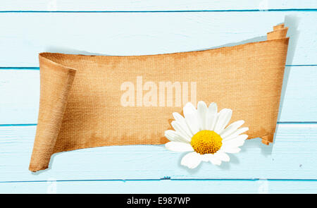 A Daisy Banner Memo on a light blue wooden background. Beautiful Garden Flower and a structured Memo Board for gardening concepts and celebration evenings Stock Photo
