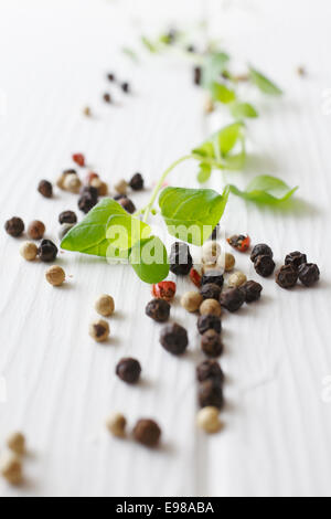 Different peppercorns and marjoram with a cutlery on a wooden plate for spice concepts Stock Photo