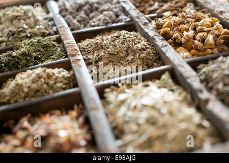 Assorted dried herbs in a printers tray with focus to chamomile flowers and a blend of mixed herbs for use in the kitchen to season and flavour food Stock Photo