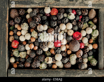 Overhead view of assorted mixed peppercorns with whole dried black, white and red or pink peppercorns used as a hot pungent spice and condiment Stock Photo