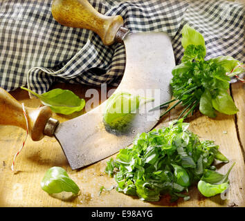 Chopping fresh basil leaves for use as a seasoning in cooking and salads using a curved two handled knife in a country kitchen Stock Photo