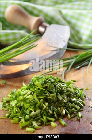 Pile of chopped fresh chives lying on a wooden kitchen table with a curved chopping knife and checked green and white cloth Stock Photo