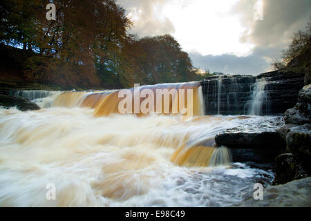 Aysgarth Lower Falls, Yorkshire Dales England. Stock Photo