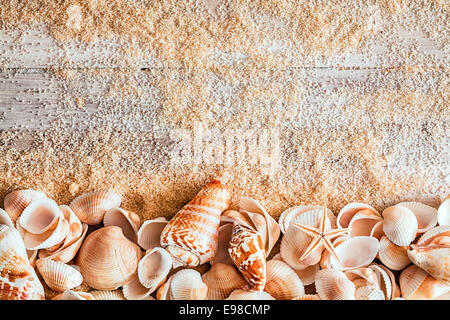 Border of assorted seashells including a cone, bivalves conch and a small starfish on sandy wooden boards with copyspace in a conceptual nautical background Stock Photo