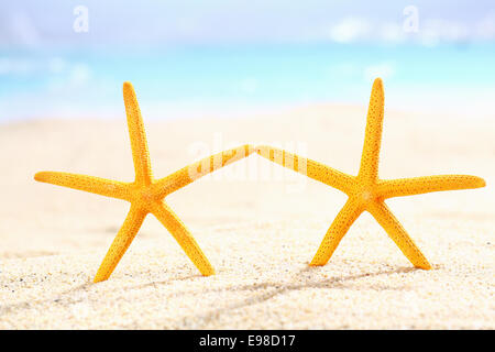 Couple of starfish on the beach standing upright in the sand as though holding hands on a summer vacation Stock Photo