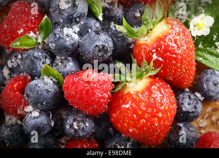 Berry background with water droplets on fresh ripe red strawberries, raspberries and blueberries, closeup view