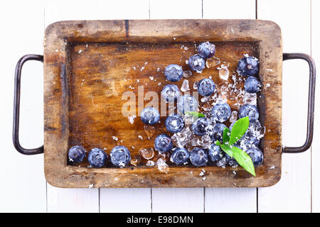 Ripe blueberries or bilberries and ice in an old grungy wood tray with a small green leafy branch over a white wooden table Stock Photo