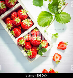 Fresh ripe red strawberries in boxes displayed on white painted wooden boards at a farmers market wih fresh green leaves and a halved berry showing the succulent pulp, overhead view Stock Photo