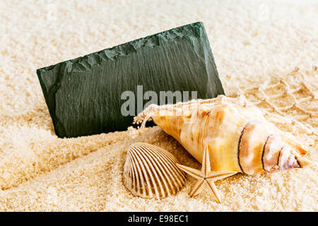 Seashells, fishing net and a starfish with a blank black sign with copyspace for your text lying on the golden textured sand of Stock Photo