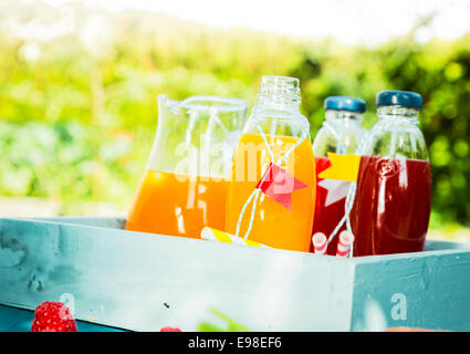 Homemade fresh fruit juice for a summer picnic with bottles and a jug of orange and mixed berry juice served in a sunny green garden on a wooden tray Stock Photo