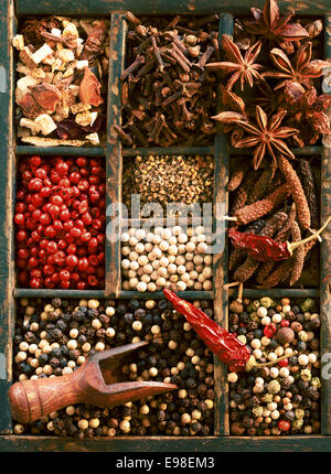 Close up overhead view of a selection of different dried peppercorns including white, black and pink, whole chilli peppers, star anise and cloves in an old wooden printers tray Stock Photo
