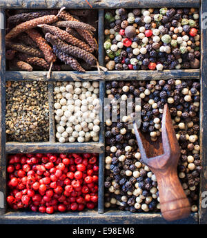 A selection of different peppercorns including, white, black, pink and mixed dried spice in an old printers tray, close up overhead view with a small wooden scoop Stock Photo