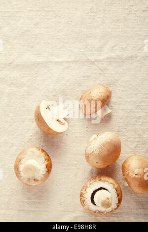 Fresh brown mushroom champignon isolated on off white background Stock Photo