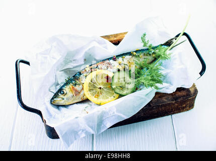 Savory baked whole fish with fresh herbs and lemon on crumpled white paper in a vintage oven pan with carrying handles Stock Photo