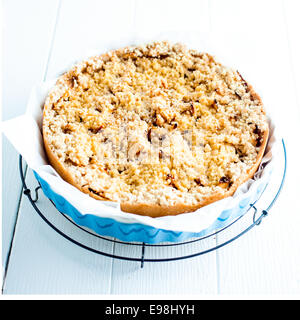 Delicious baked plum pie with a golden pastry crumble topping standing on a wire rack ready to be served on white wooden boards, square format Stock Photo