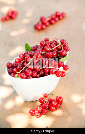 Redcurrants in White Bowl on Wooden Background Outdoors. Good Source of Vitamins, Minerals and Antioxidants Stock Photo