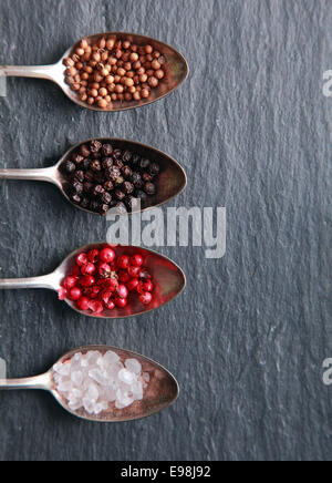 Overhead view of fresh coarse rock or sea salt and assorted peppercorns displayed in spoons as a border to the left on a textured slate background with copyspace Stock Photo
