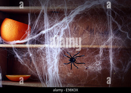Spooky Halloween spider web background covering wooden shelves with a fresh pumpkin and large spider crawling across it Stock Photo