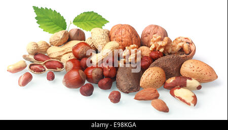 Assortment of fresh nuts both in their shells and shelled arranged in a pile on a white background with green leaves including almonds, hazelnuts, brazil nuts, peanuts and walnuts Stock Photo