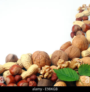 Variety of fresh culinary nuts as a corner border on a square format white background including almonds, hazelnuts, brazil nuts, peanuts and walnuts shelled and in their shells Stock Photo