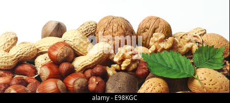 Assorted fresh nuts horizontal banner with whole almonds, hazelnuts, brazil nuts, peanuts and walnuts in their shells and shelled on white with two green leaves Stock Photo