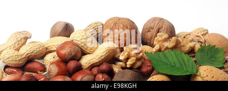 Festive banner of mixed whole fresh nuts in their shells including almonds, hazelnuts, brazil nuts, peanuts and walnuts both shelled and whole with green leaves on white with copyspace, closeup view Stock Photo