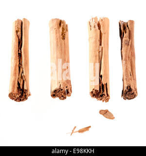 four cinnamon sticks isolated on white. High angled cinnamon sticks on white background. Stock Photo