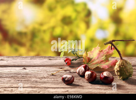 Chestnuts and rose hips, both rich natural sources of vitamin c , standing on an old wooden table in an autumn garden with colorful golden yellow foliage, with copyspace Stock Photo