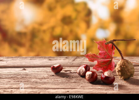Fresh chestnuts from an autumn harvest lying on an old rustic wooden table with a colorful red leaf against a backdrop of autumn foliage in a garden, with copyspace Stock Photo