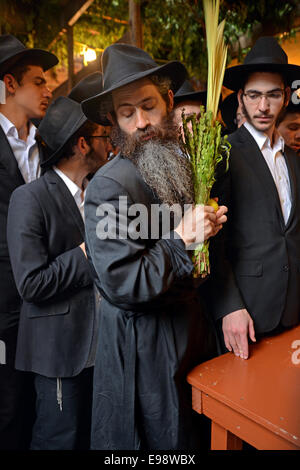 Religious Jewish men blessing the esrog and Lulav in a sukkah during the Jewish holiday of Sukkot in Brooklyn, New York. Stock Photo