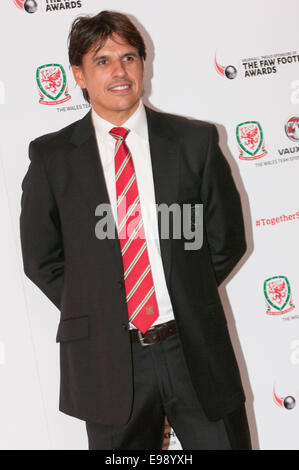 Football Association of Wales Awards Dinner 2014, St David's Hotel, Cardiff. Wales Team Manager Chris Coleman. Stock Photo
