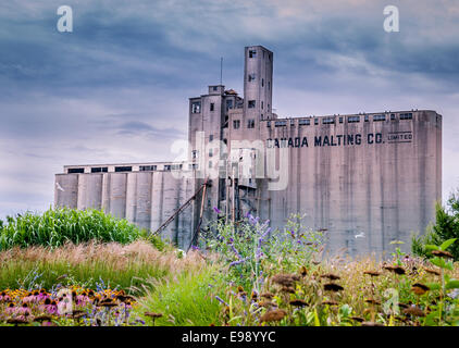 The Canada Malting Silos at the harbourfront in Toronto Ontario Canada. Stock Photo