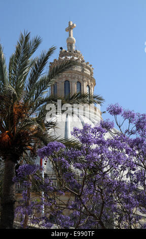 The dome of the Carmelite Church with purple blossoms in the foreground in Valletta, Malta Stock Photo