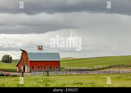 A red barn and rolling farm fields in Palouse Washington Stock Photo