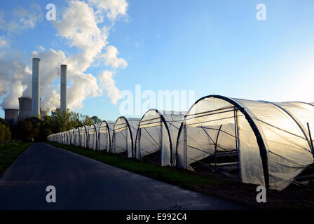 Greenhouses are in the vicinity of the RWE lignite power plant Niederaussem (L) in Bergheim-Niederaussem, North Rhine-Westphalia, 18.10.20104. The greenhouses are heated by the waste heat from the power plant. Stock Photo