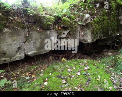 Destroyed Bunker on the Westwall Line in Hürtgenwald Stock Photo