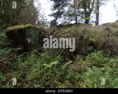 Destroyed Bunker of the Westwall Line in Eifel Stock Photo