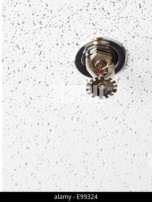 A single sprinkler in an automatic fire suppression sprinkler system Stock Photo