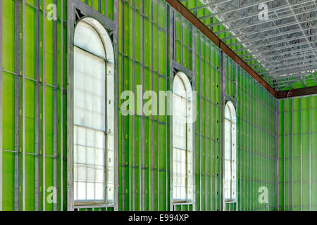 The interior of an office building under construction using steel studs, and green board Stock Photo