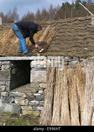 dh Highland Folk Museum NEWTONMORE INVERNESSSHIRE Man thatching traditional blackhouse thatched croft cottage roof scotland thatch construction uk Stock Photo