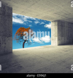 Abstract empty room 3d interior with concrete walls and autumnal red tree in the window Stock Photo