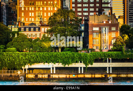 Buildings along the East River in Manhattan, seen from Roosevelt Island, New York. Stock Photo