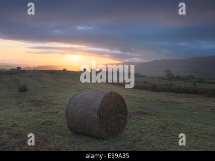 Dawn light with dark clouds over the Welsh mountains of the Brecon Beacons National Park, with heathland of the common Stock Photo