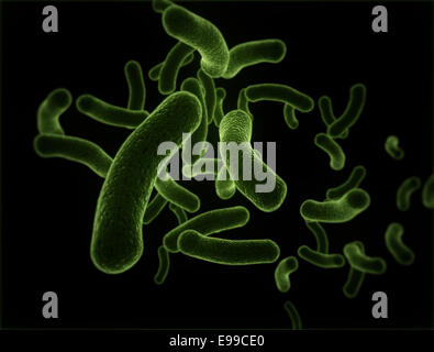 Bacteria cells. High detailed 3d background