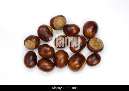 Collection of sweet chestnuts on white background Stock Photo