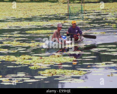 Sablayan, Philippines. 22nd October, 2014. Prisoners at Samblayan Penal Compound in Occidental Mindoro are allowed to live outside prison cell where inmates can do freely farming, fishing, and tour guide for bird watchers at Mt. Siburan lowland forest and live like “free people” doing their daily chores as if they are free people living inside the prison compound.  © Sherbien Dacalanio / Alamy Live News Stock Photo