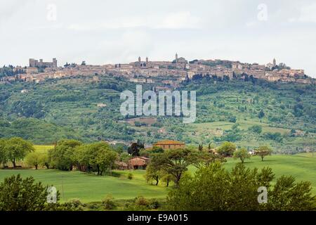 Typical landscape in the Val d'Orcia (Siena Stock Photo
