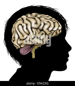 A childs head in silhouette with brain. Concept for child mental, psychological development, brain development, learning and edu Stock Photo
